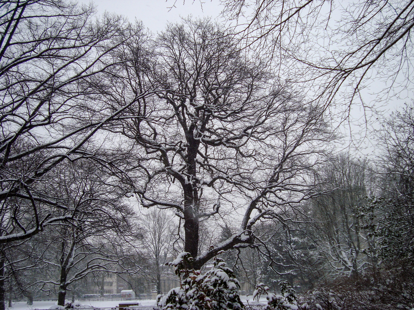 Der Kleistpark im März-Winter