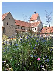 Der Klostergarten und die Wildwiese