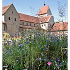 Der Klostergarten und die Wildwiese