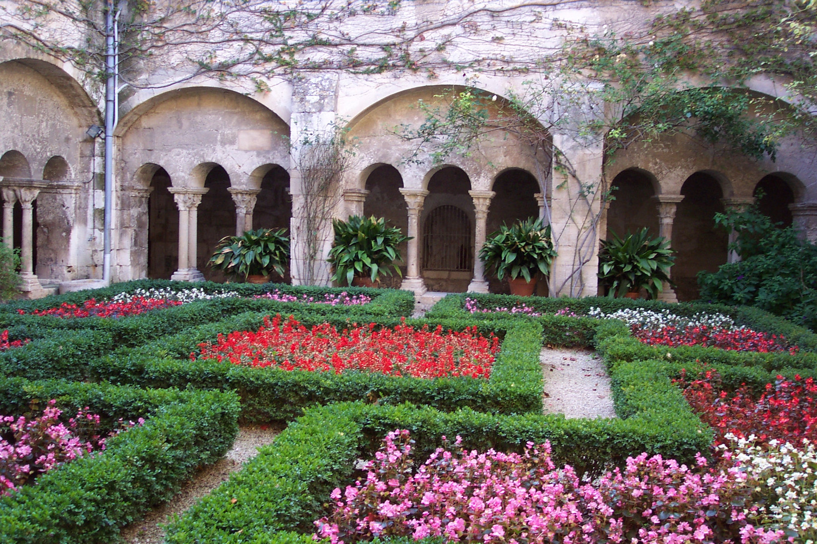 Der Klostergarten von Saint-Rémy