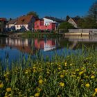 Der Klosterweiher