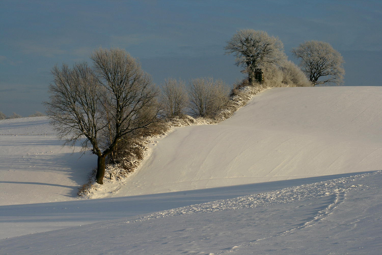 Der Knick im Winter