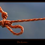 Der Knoten