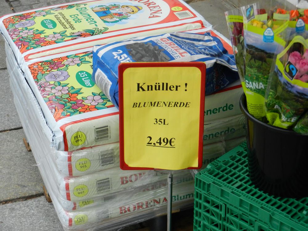 Der Knüller!