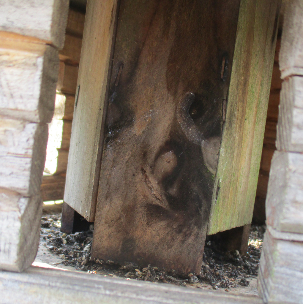 Der Kobold  im Vogelfutterhaus