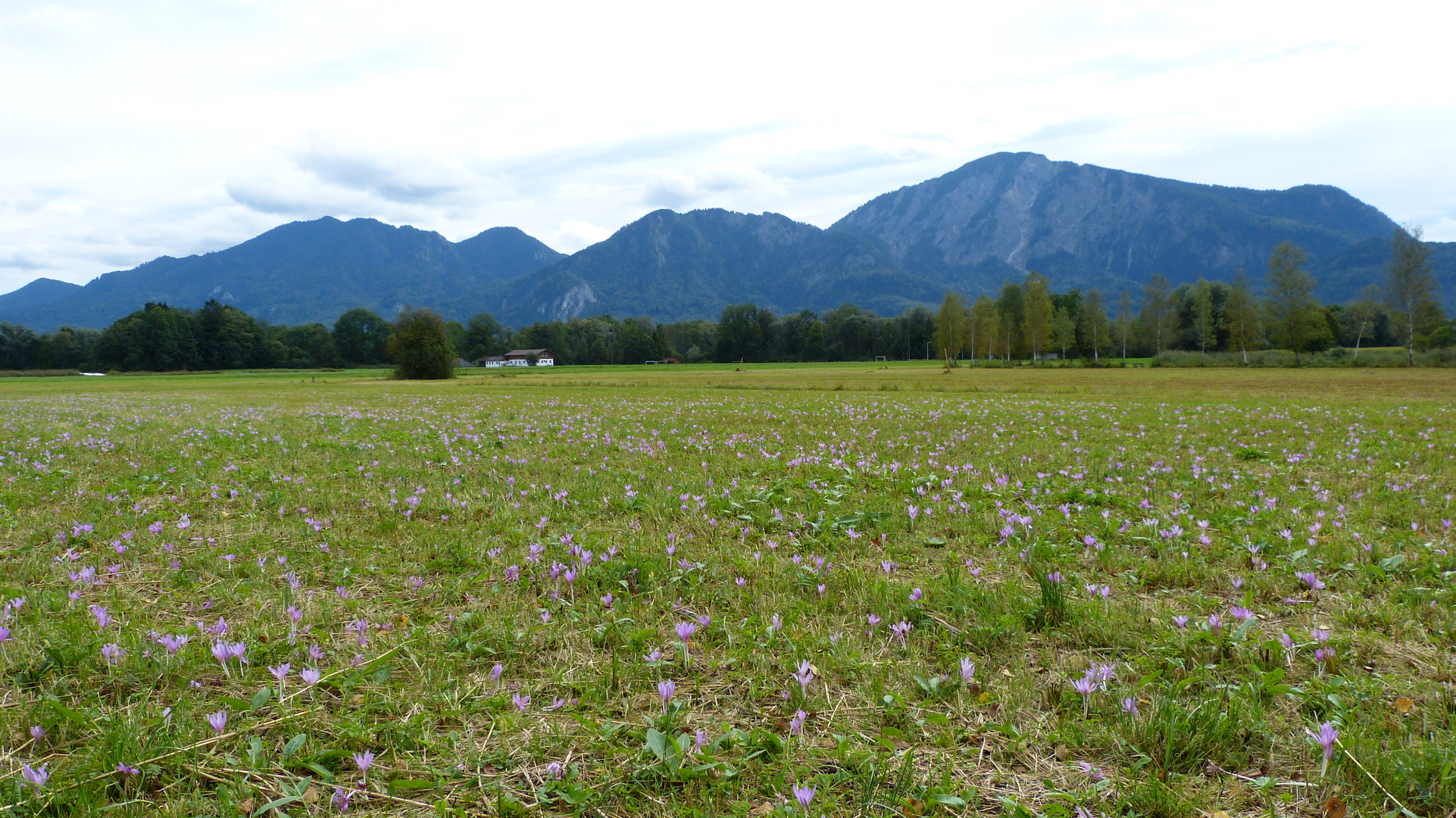 Der Kochelsee 5