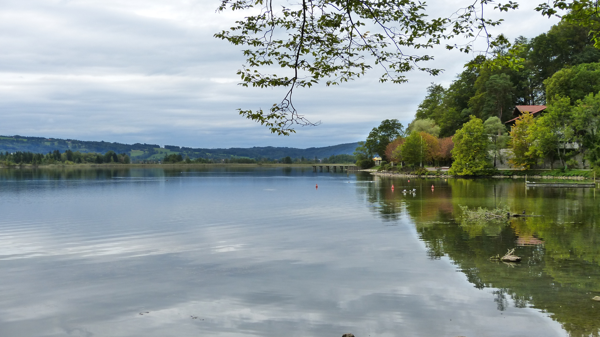 Der Kochelsee 6