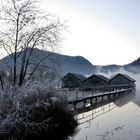 der Kochelsee