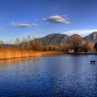 Der Kochelsee bei Schlehdorf