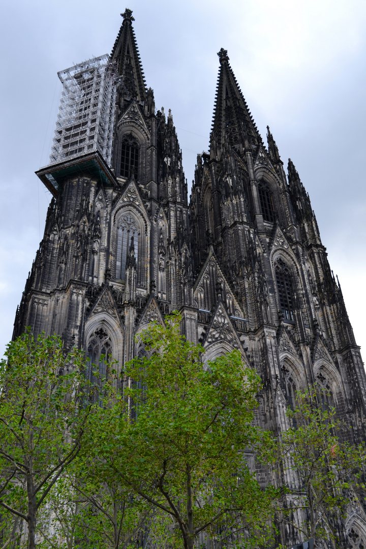 Der Kölner Dom