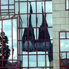 Der Kölner Dom