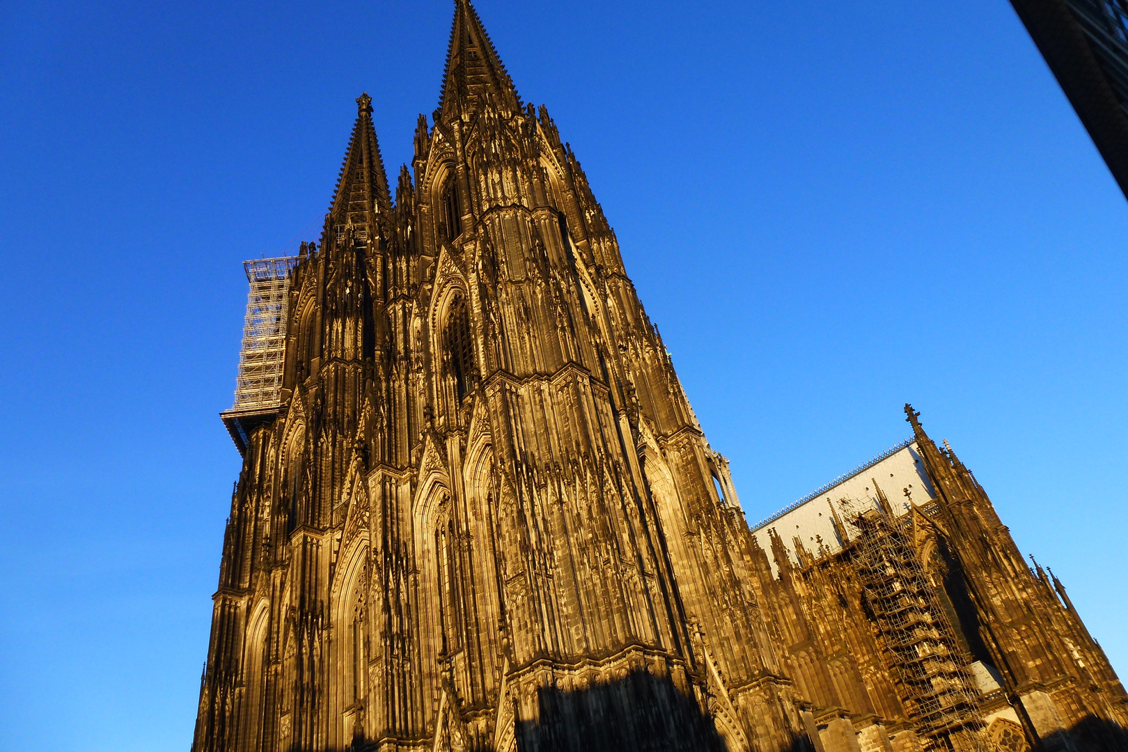 Der Kölner Dom