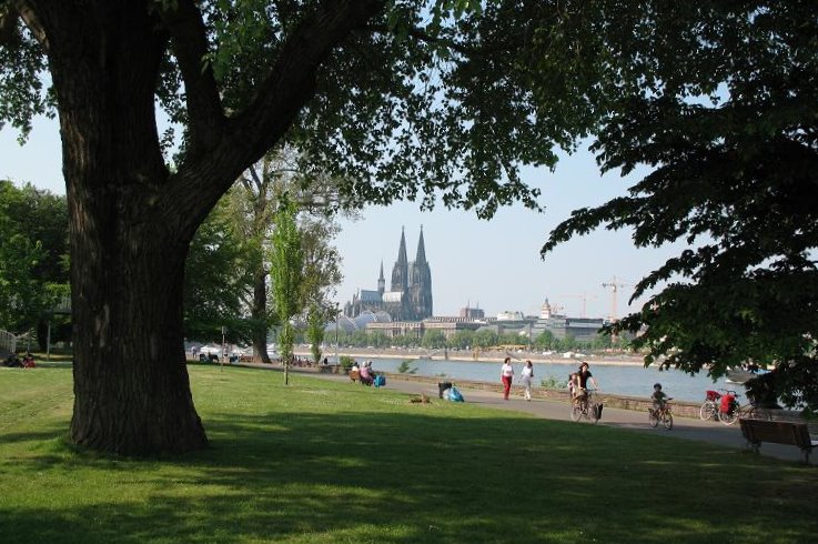 Der Kölner Dom - gesehen vom Rheinpark aus.