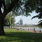 Der Kölner Dom - gesehen vom Rheinpark aus.