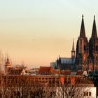 Der Kölner Dom im Abendlicht