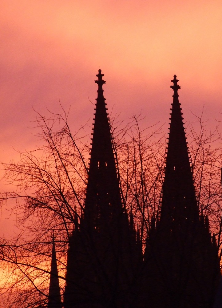 Der Kölner Dom im Abendrot