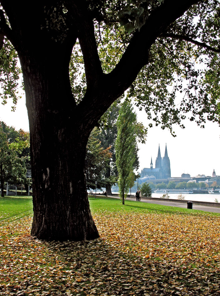 Der Kölner Dom wirkt auch am Rand....