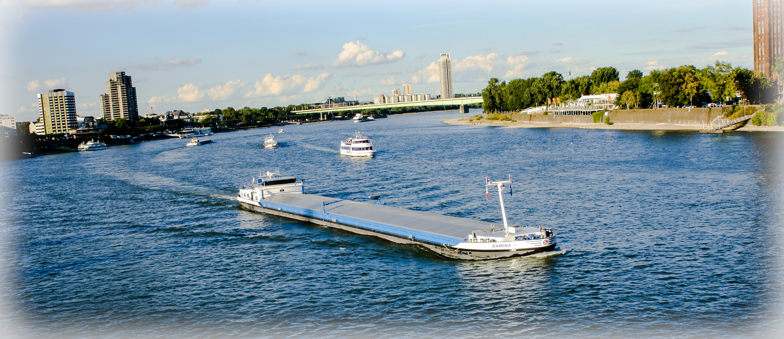 Der Kölner Rhein