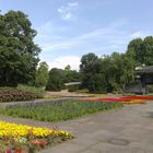 Der Kölner Rheinpark