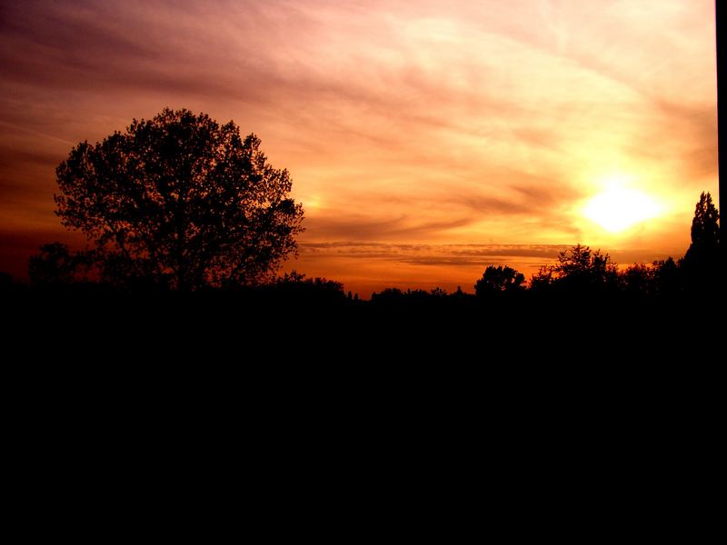 Der Kölner Sonnenuntergang