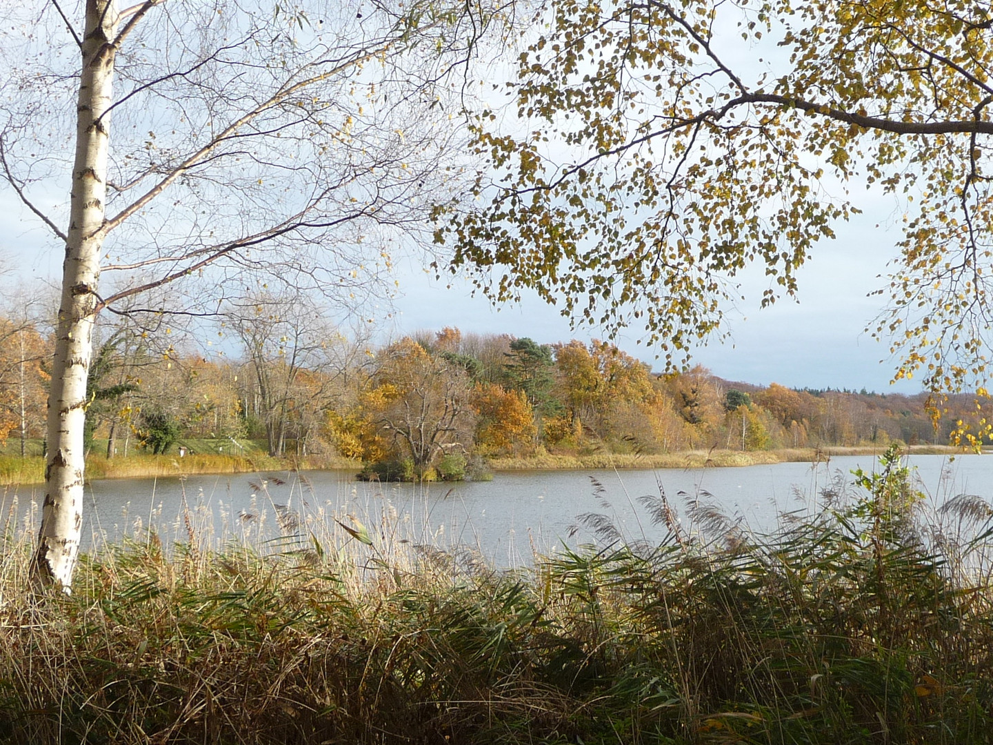 Der Kölpinsee im Seebad Loddin