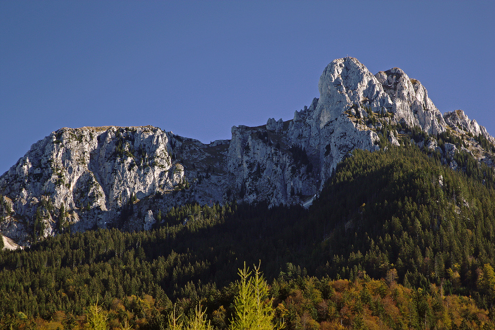 Der König der Ammergauer