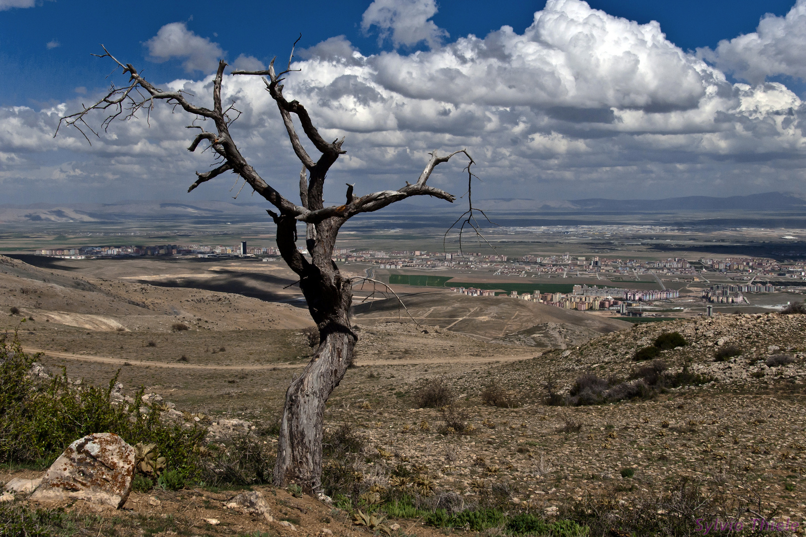 Der König der Welt - Konya ( Türkei )