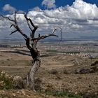 Der König der Welt - Konya ( Türkei )