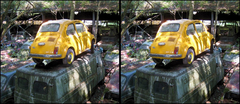 der König des Autofriedhofes