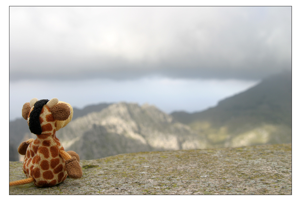 Der König lässt den Blick über sein Land schweifen