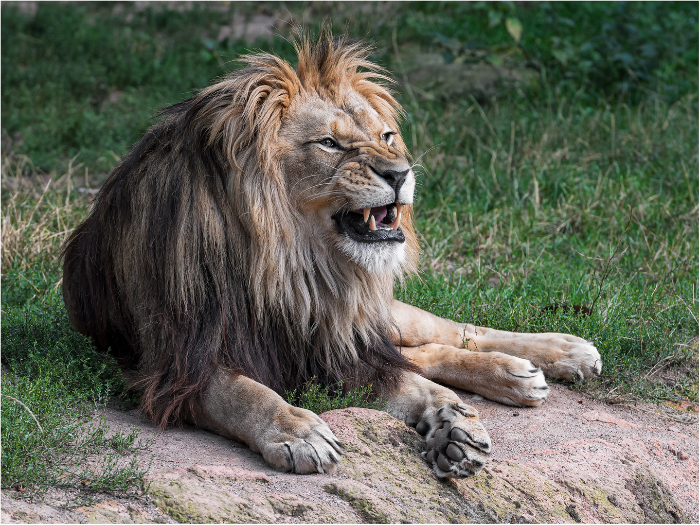 Der König von Hannover.....