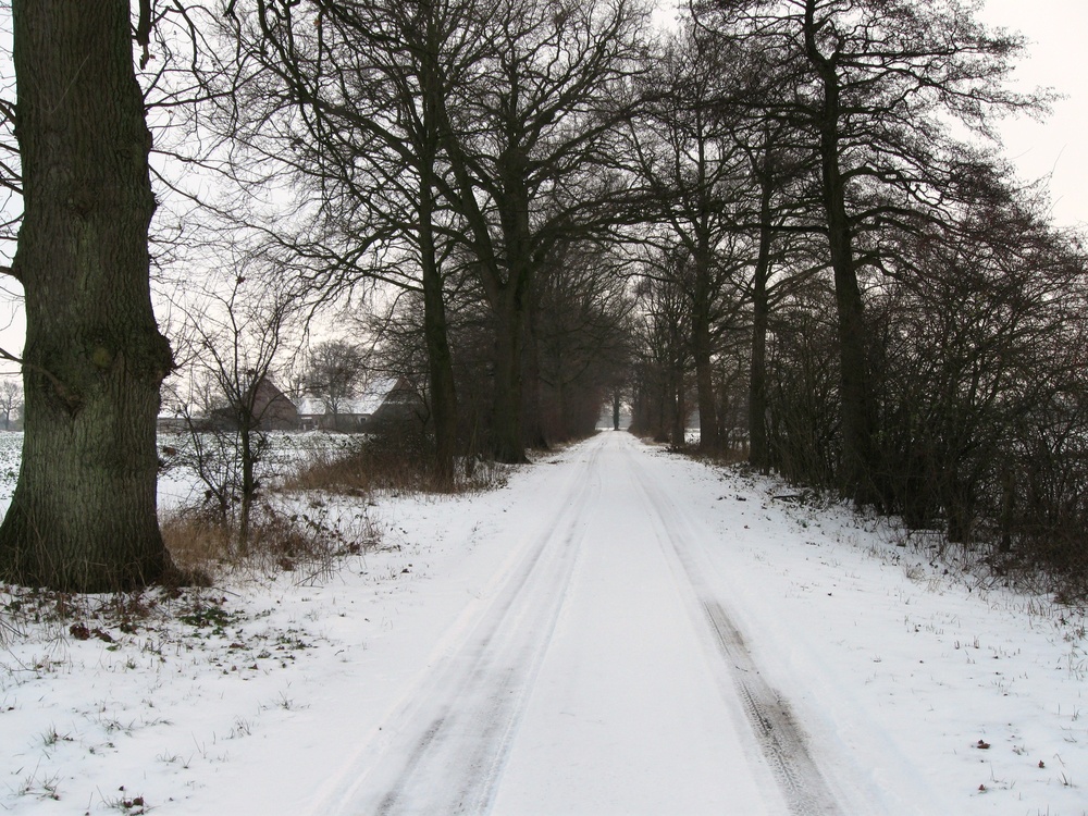 Der königliche Damm im Winter