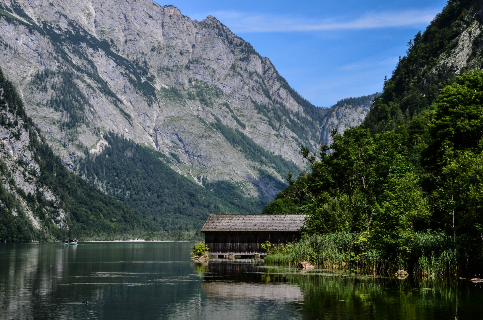 Der Königsee