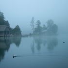 Der Königssee (I)