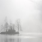 Der Königssee im Nebel