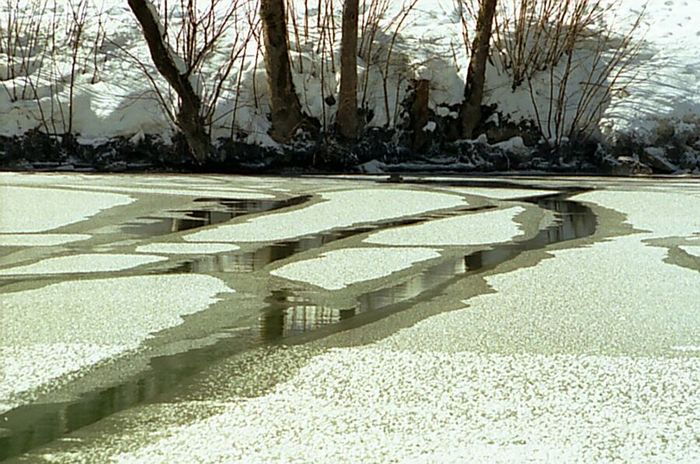 Der Königssee im Winter