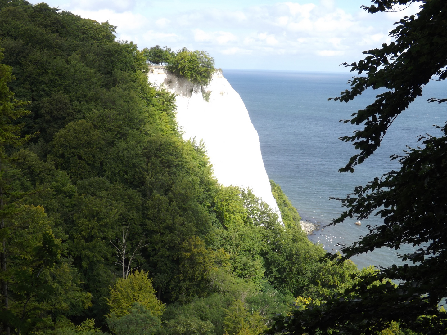 Der Königsstuhl auf Rügen