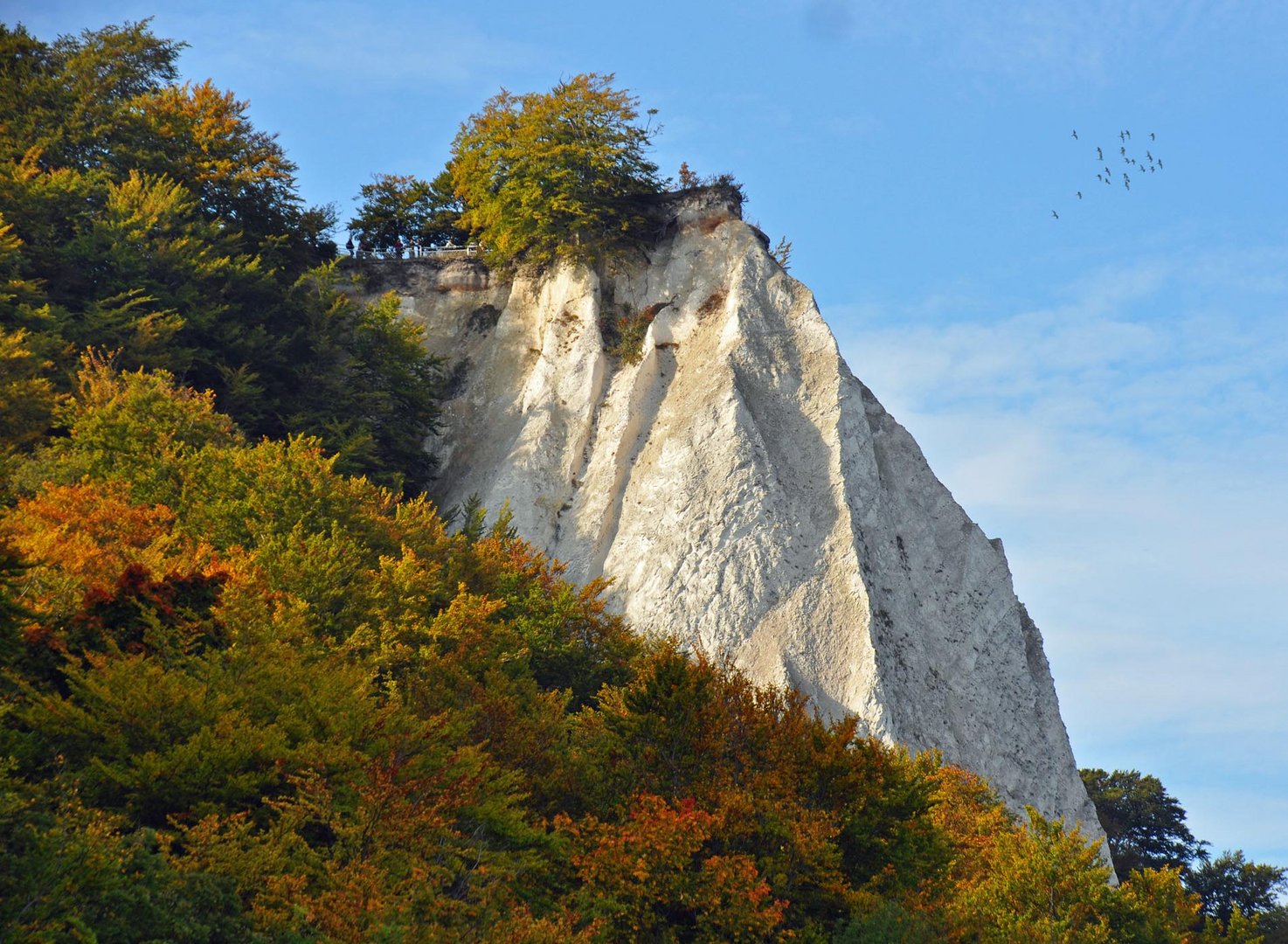 Der Königsstuhl