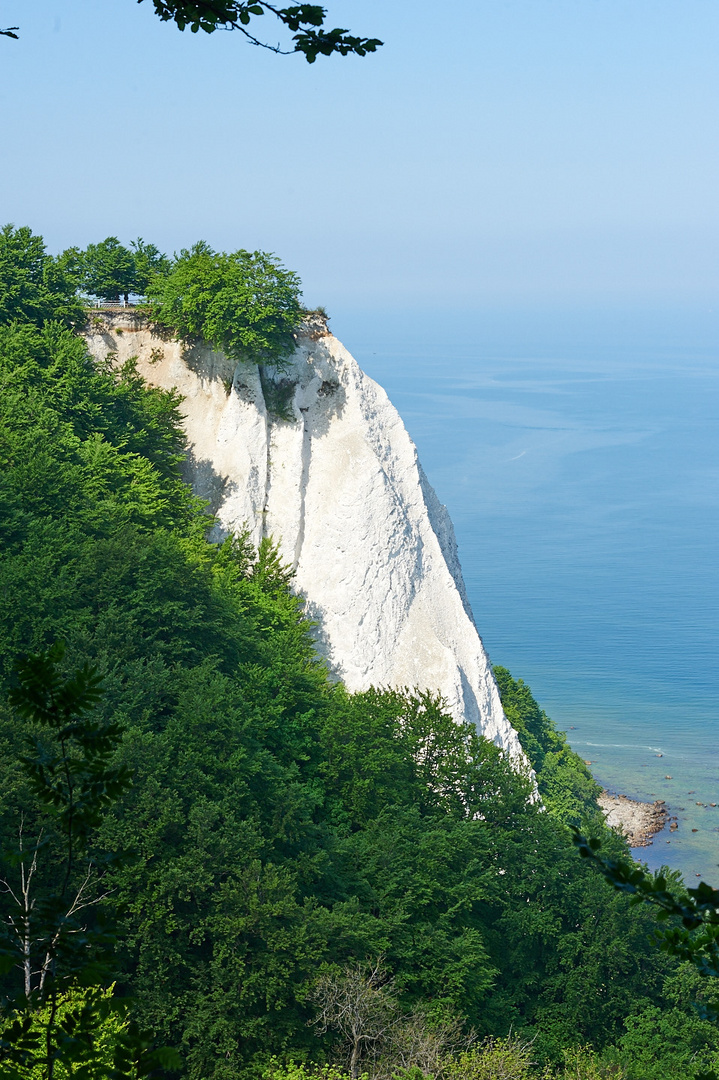 Der Königsstuhl (Kreidefelsen Rügen)