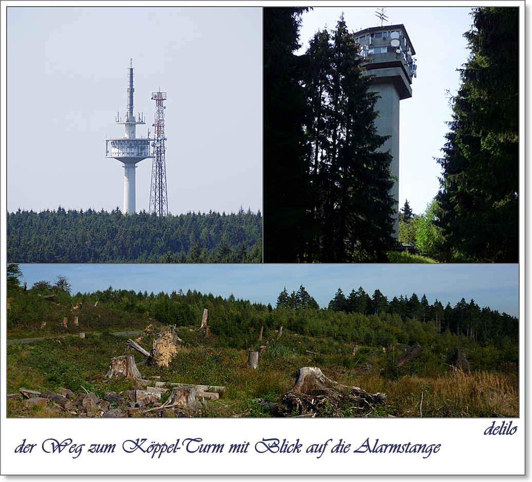 der Köppel-Turm mit Blick auf die Alarmstange