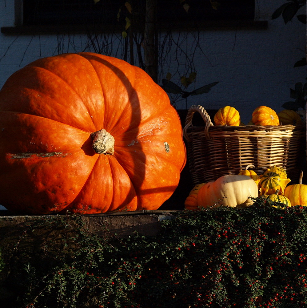 Der Koloss von... Foto & Bild jahreszeiten, herbst, natur 1 Bilder