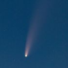Der Komet Neowise C/2020 F3 (1)