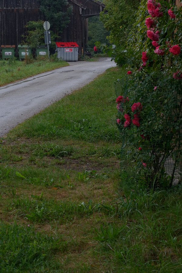 Der Komposthaufen für die Blumen ist auch da