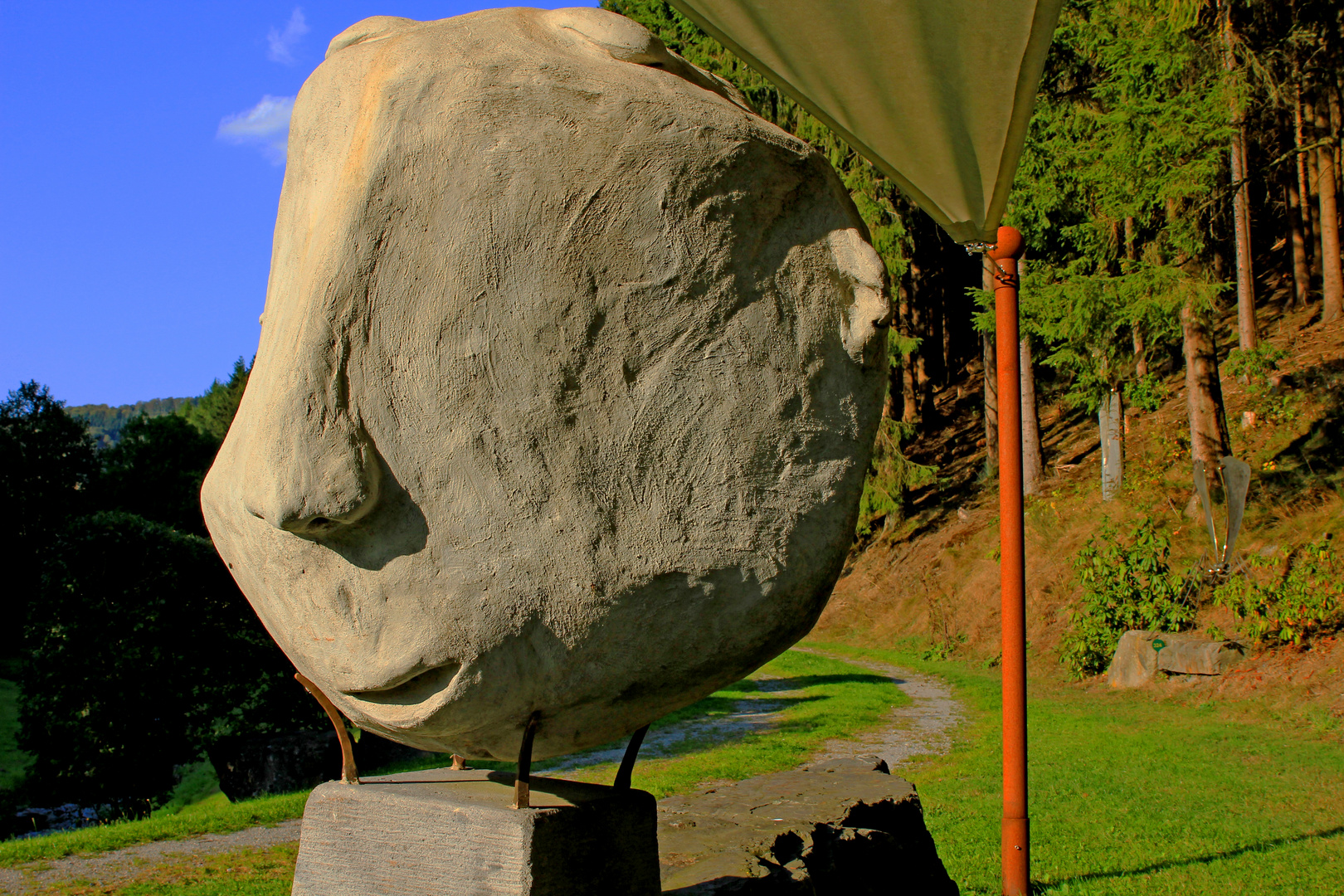 Der Kopf im Skulpturenpark Klute-Waldemai in Schmallenberg-Niedersorpe