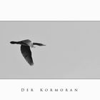 Der Kormoran