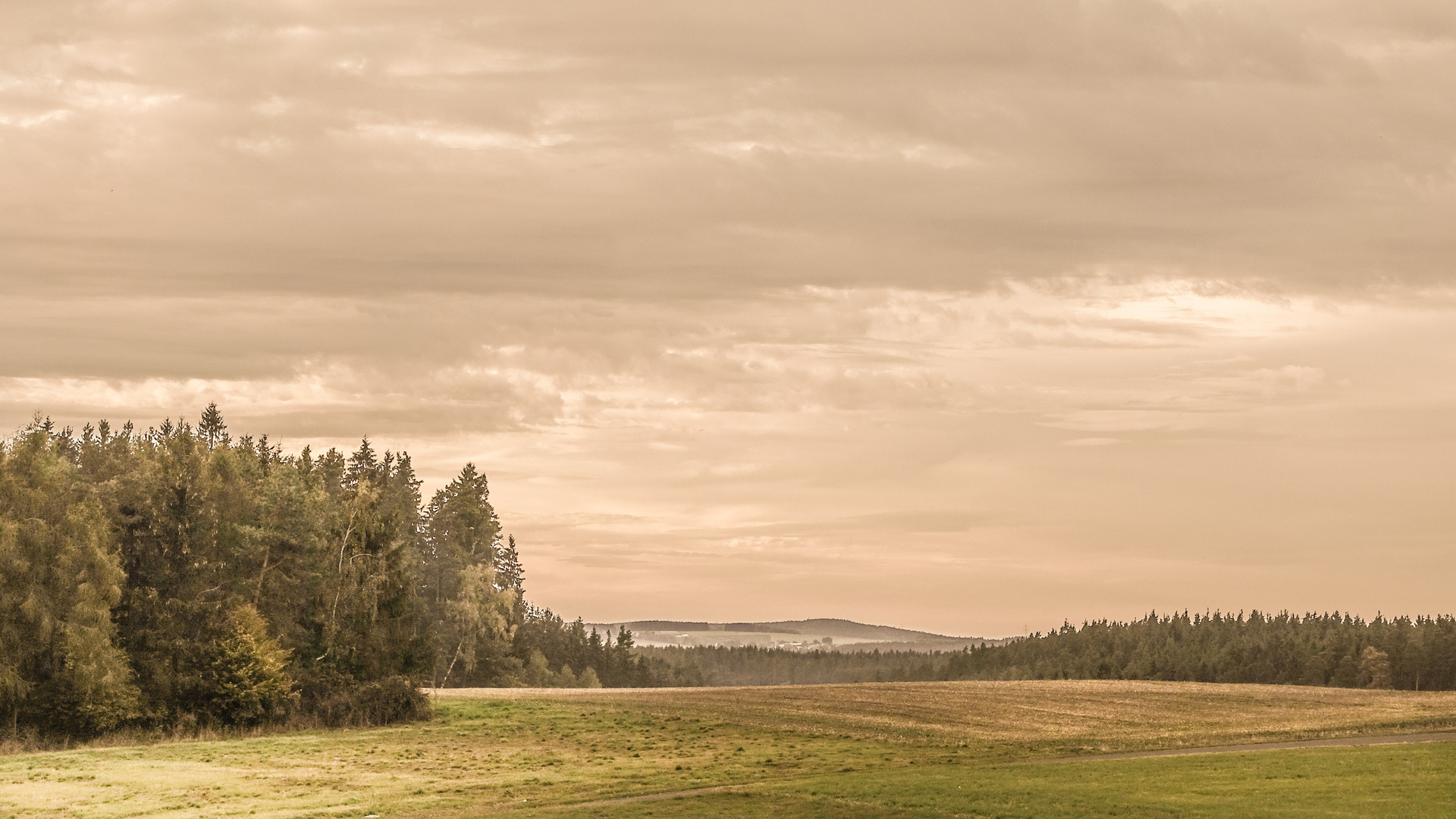 Der Kornberg bei Abendlicht