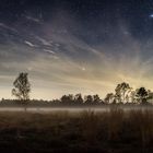 Der Kosmische Nebel