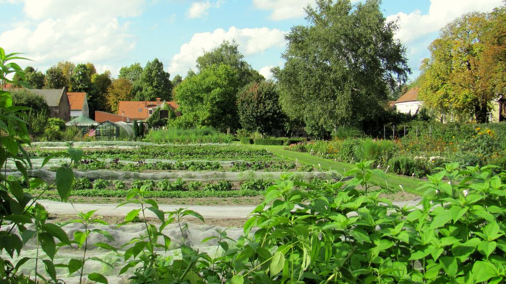 der Kräuterhof Foto & Bild | deutschland, europe, berlin Bilder auf ...