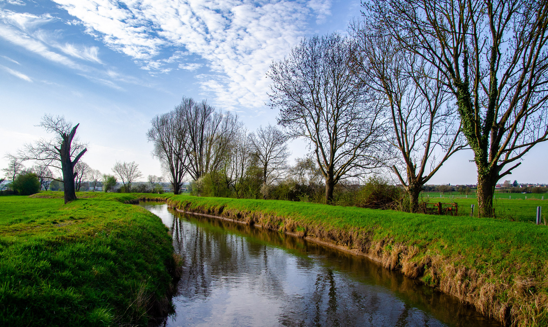 Der Kraichbach zwischen Mingolsheim und Kronau