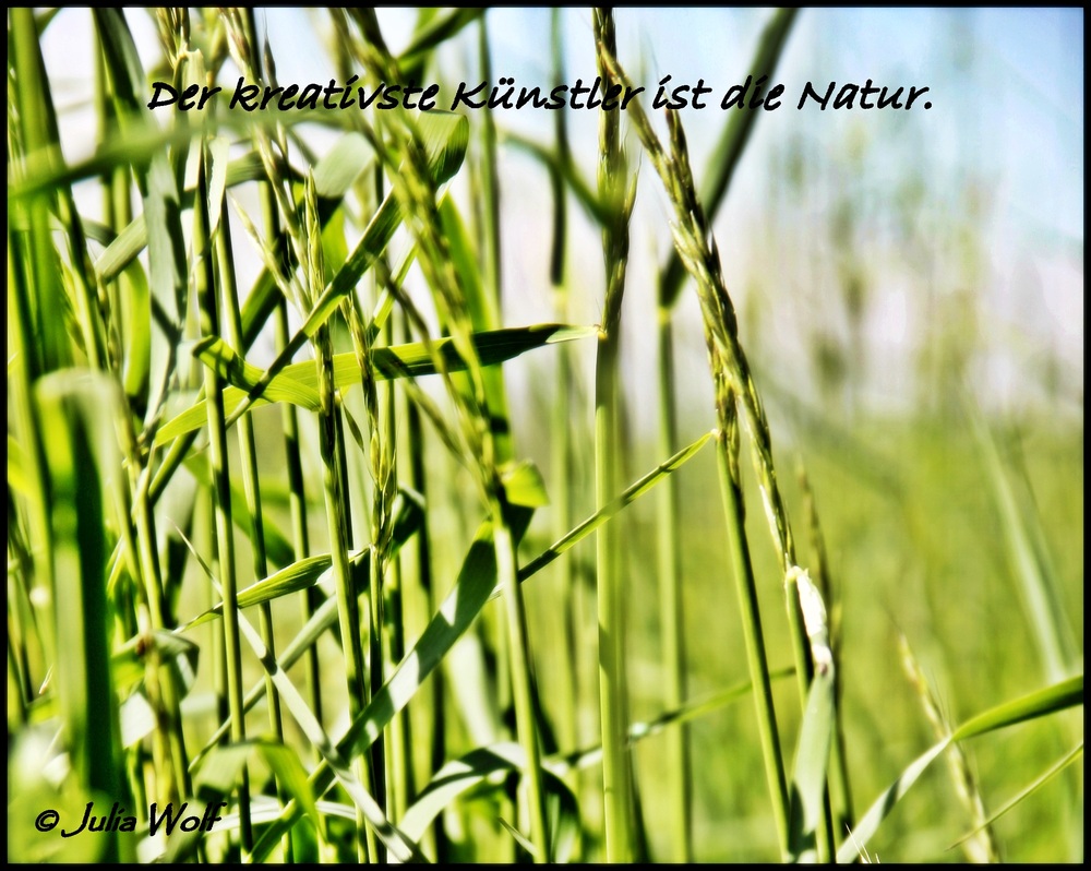 "Der kreativste Künstler ist die Natur"